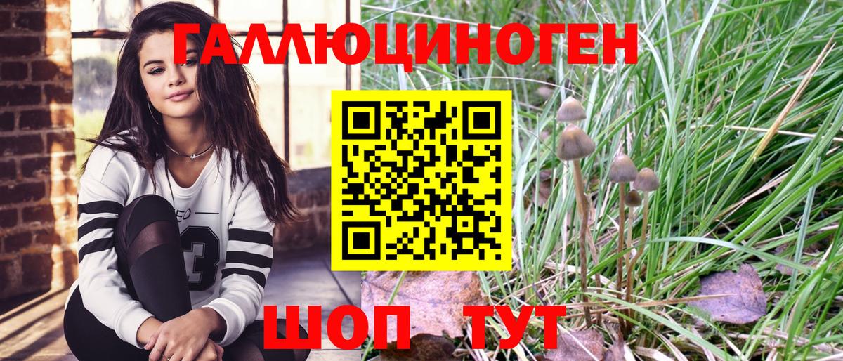 Киселёвск  Псилоцибиновые грибы ЛСД  купить наркоту  Вход с VPN 
